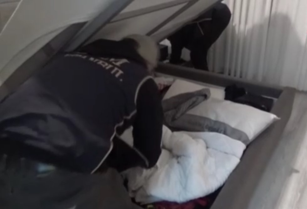 PKK/KCK’nın yurtiçi yapılanmasına, darbe operasyon!