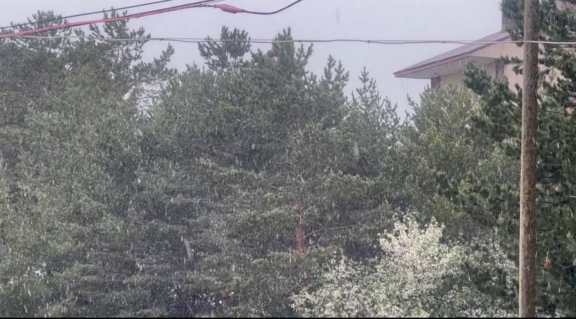 Mevsimler şaşırdı! Mayıs ayında o, ilde resmen lapa lapa kar yağdı!