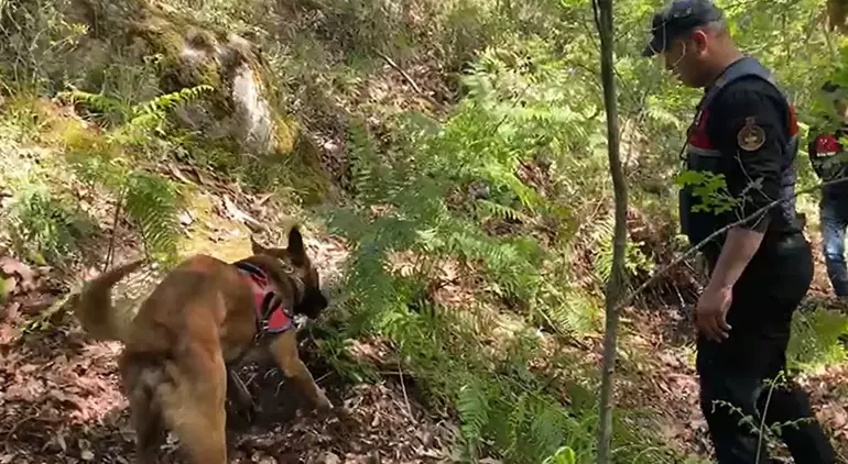 Ekonomist Korhan Berzeg'in bulunan kemikleri babasının mezarının yanına defnedilecek
