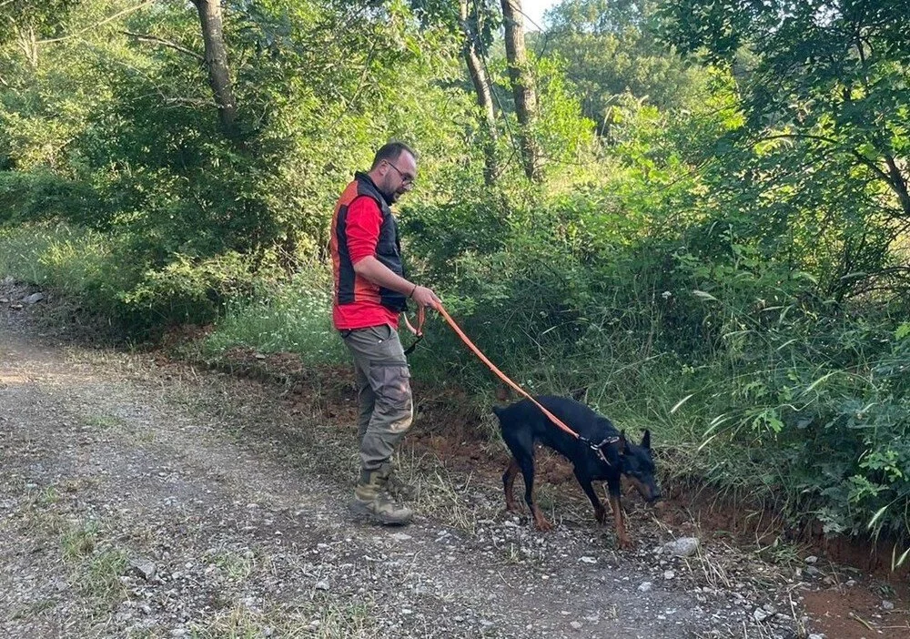 Ekonomist Korhan Berzeg'in bulunan kemikleri babasının mezarının yanına defnedilecek