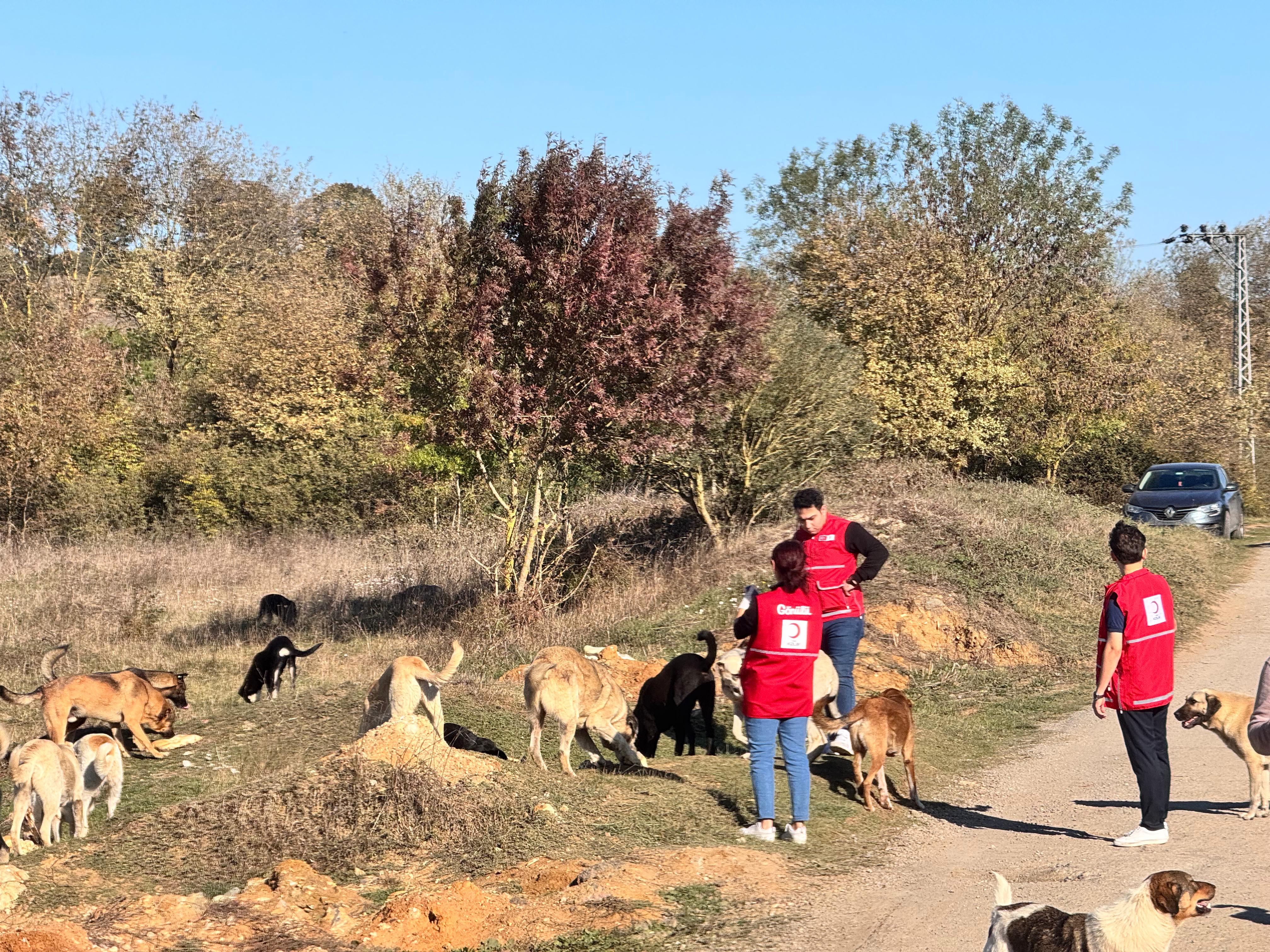 Pendik Kızılay'ından, haftanın önem ve anlamına uygun etkinlik 