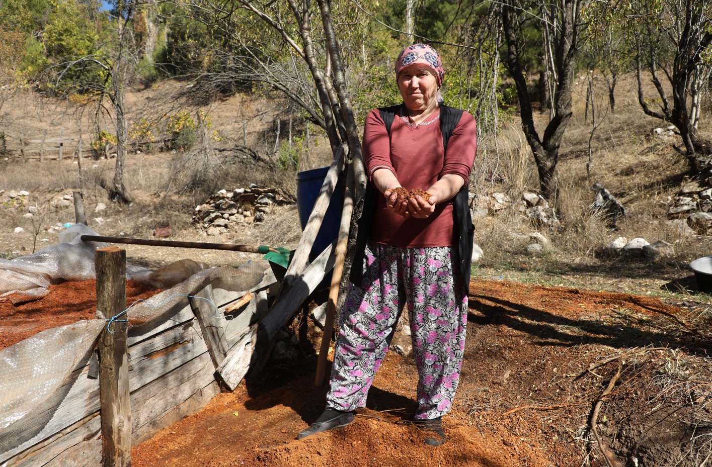 Toros Dağları'ndan sofraya: Kaynatılan andız kozalakları, şifa ve lezzeti bir araya getiriyor...