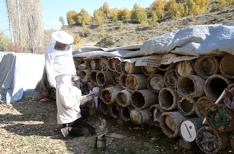 Bitlis'te hasadı yapılan karakovan balına yurt dışından büyük rağbet!