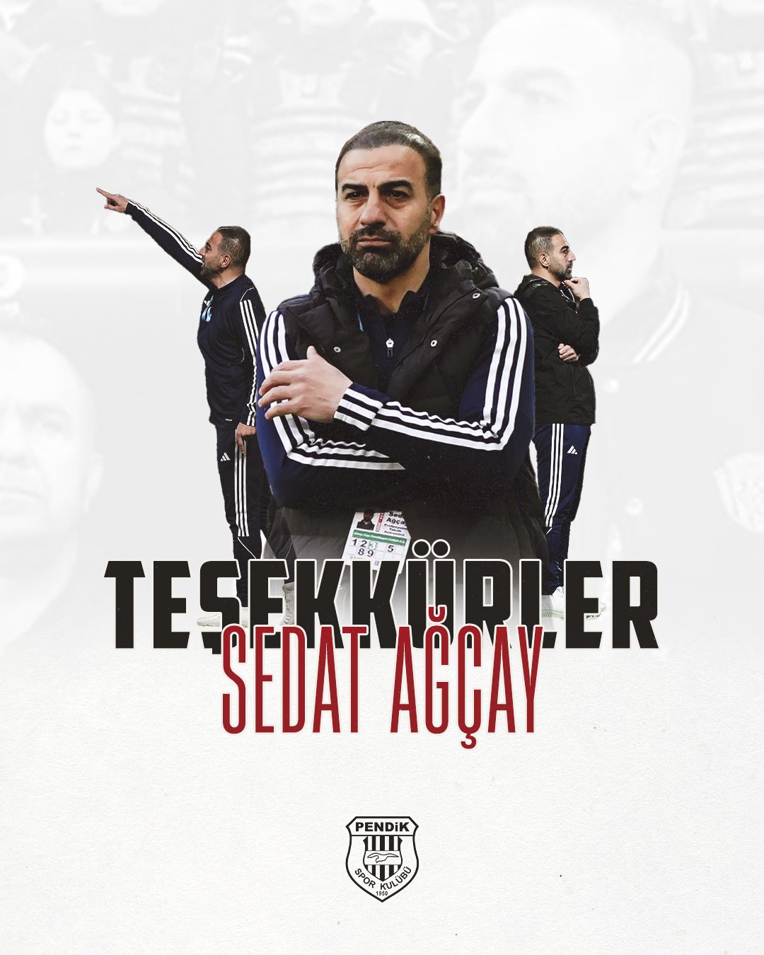 seda.jpg
