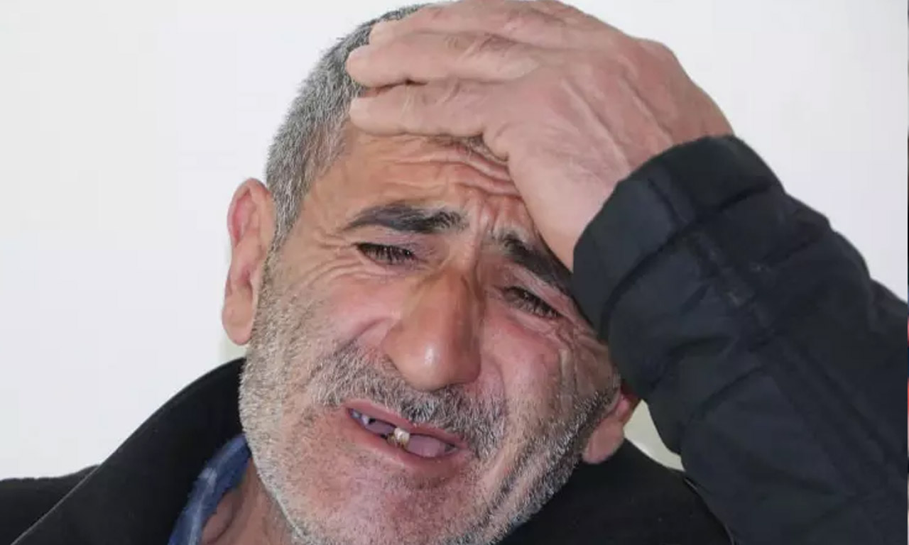 Erzurum'de dehşet: Bir küçük can daha başıboş köpeklerin pençeleriyle parçalandı! 
