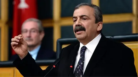 Sırrı Süreyya Önder'in kızına sosyal medyadan büyük tepki: Ceren Kandemir'in ahmak dediği kişi emekli albay çıkınca...