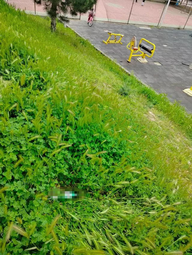 Çocuklar için parklar tehlikeli hale geldi: Bulduğu alkol şişesini su zannederek içen çocuk hastanelik oldu!