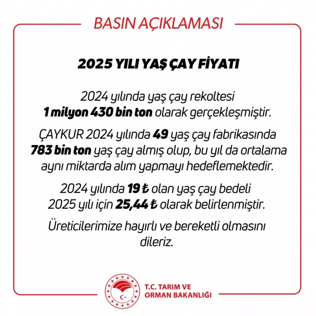 Bakanlık açıkladı: Yaş çay alım fiyatı belli oldu