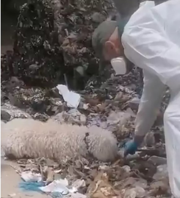 Akıllara durgunluk veren olay: Yeni doğan bebeğini parçalara ayırıp çöpe attı!