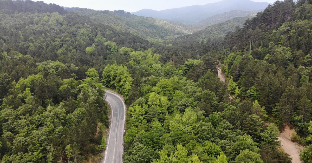 1200x628.jpg