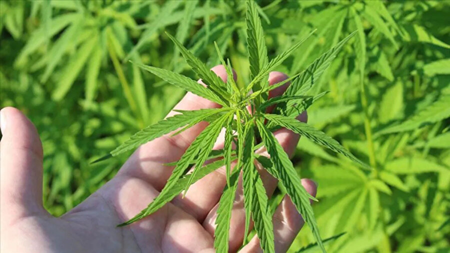 TBMM Genel Kurulunda kabul edildi: Sağlık alanında önemli değişiklikler!