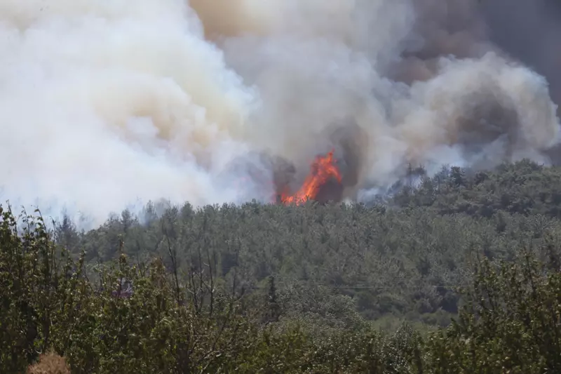 Son dakika! 5 ilimiz alev aldı: Ormanlarımız yine cayır cayır yanıyor!