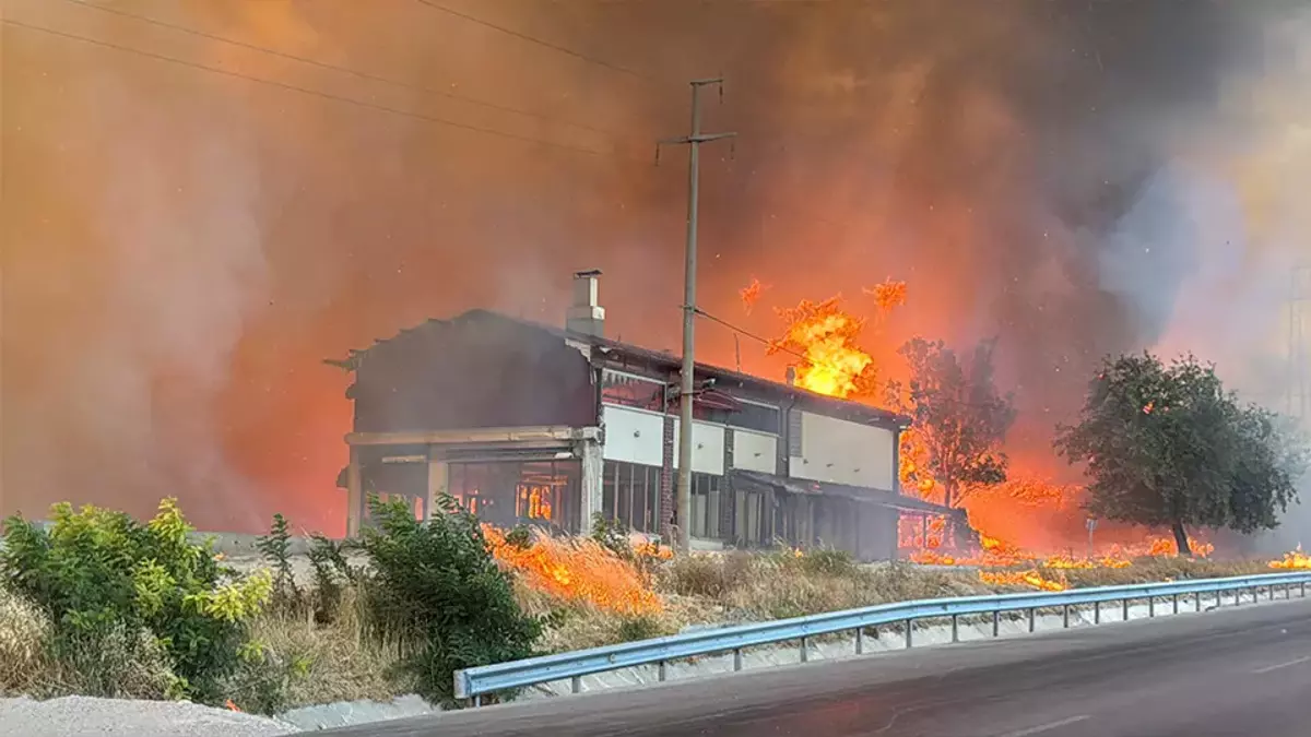 Son dakika! 5 ilimiz alev aldı: Ormanlarımız yine cayır cayır yanıyor!