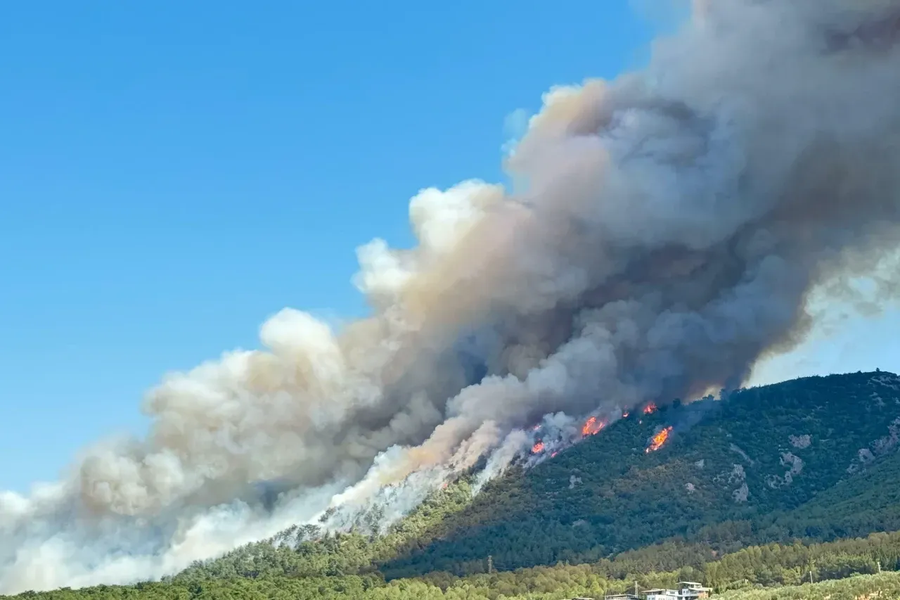 Son dakika! 5 ilimiz alev aldı: Ormanlarımız yine cayır cayır yanıyor!