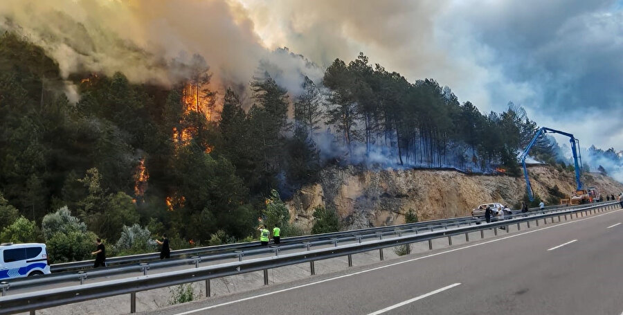 Bolu'da orman yangını: Alevlerle mücadele 3 saattir sürüyor!
