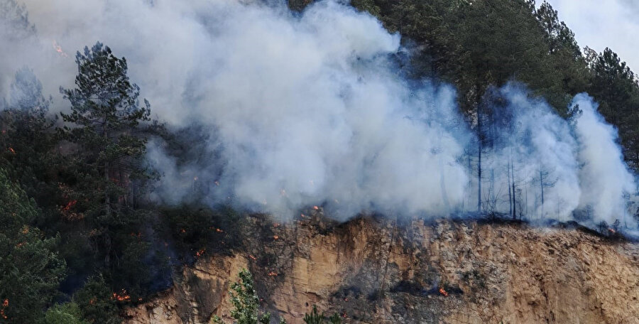 Bolu'da orman yangını: Alevlerle mücadele 3 saattir sürüyor!