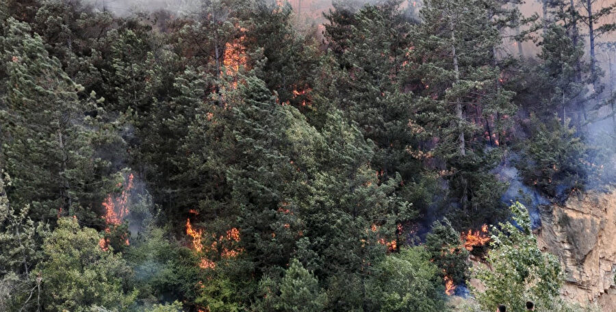 Bolu'da orman yangını: Alevlerle mücadele 3 saattir sürüyor!