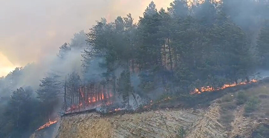Bolu'da orman yangını: Alevlerle mücadele 3 saattir sürüyor!
