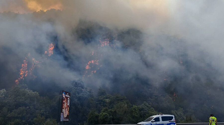 Bolu'da orman yangını: Alevlerle mücadele 3 saattir sürüyor!