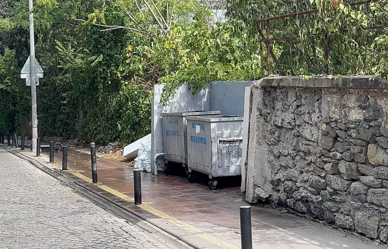 Beşiktaş'ta çöpte cesedi bulunan bebeğin annesi bulundu: İfadesi kan dondurdu!