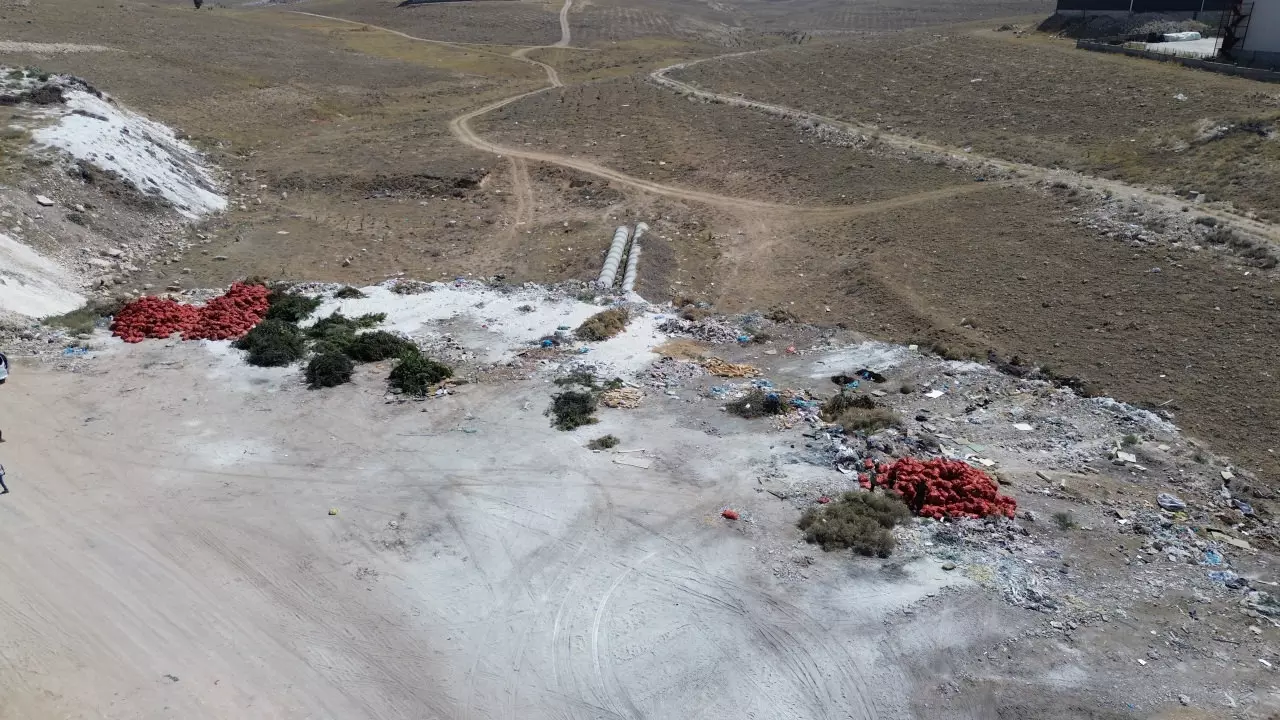 Tonlarca soğanı çöpe attılar: 'Yazık, yetime öksüze verselerdi'