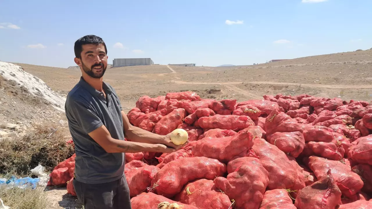 Tonlarca soğanı çöpe attılar: 'Yazık, yetime öksüze verselerdi'