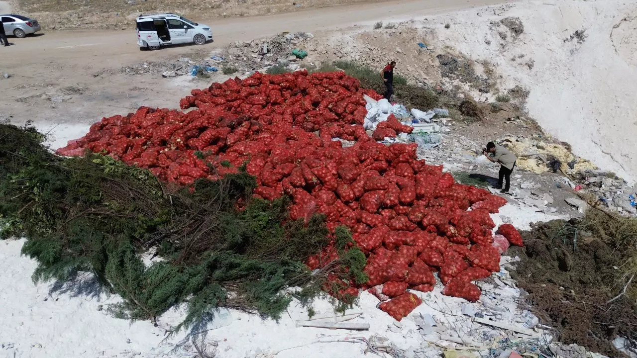 Tonlarca soğanı çöpe attılar: 'Yazık, yetime öksüze verselerdi'