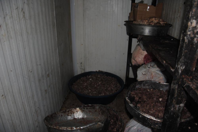 Gastronomi şehrinde olay görüntüler: Düğün ve lokantalarda vatandaşlara yedireceklerdi!