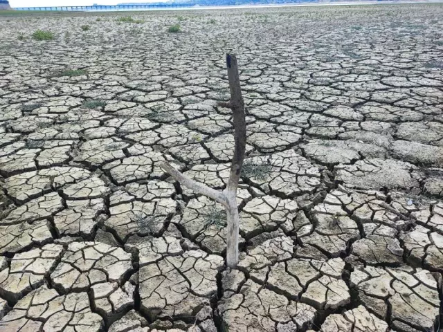 Türkiye kuruyor, derin çatlaklar oluştu! Yağmur yağmazsa kıtlık kapıda!