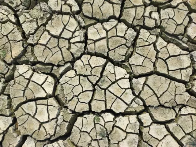 Türkiye kuruyor, derin çatlaklar oluştu! Yağmur yağmazsa kıtlık kapıda!