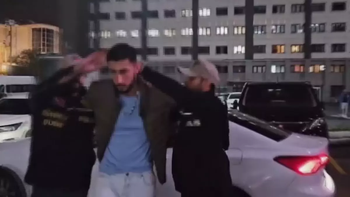 Beyoğlu'nda tasma takıp gezdirmişti: O, 2 şüpheli de tutuklandı!