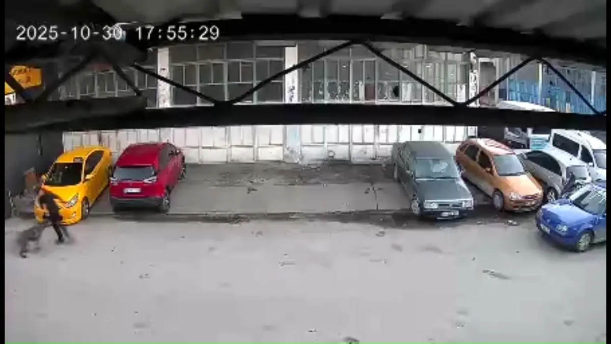 Sakarya'da korku dolu anlar: Sahibinin elinden kaçan köpek 15 yaşındaki çocuğa saldırdı!