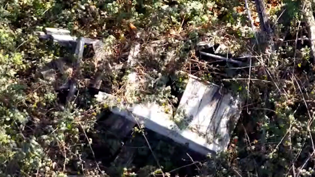 Cesedi bulunan Huriye Helvacı'yla ilgili dikkat çeken gelişme: Üzerinde kıyafetleri yoktu!