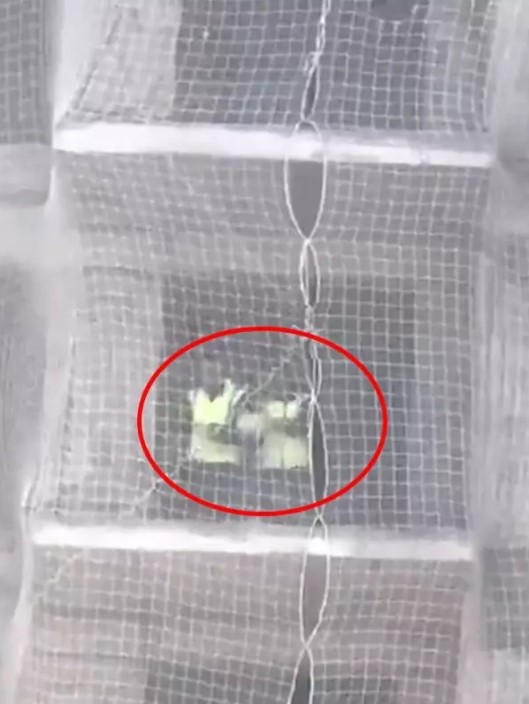 Maltepe'de kaydedilen o görüntü olay yarattı: 10 Kasım'da sirenler çalarken halay çeken işçiler gözaltında mı?