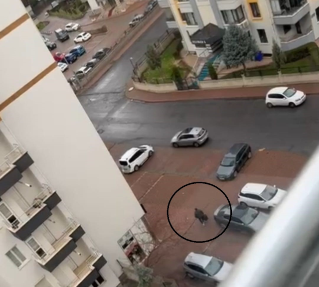 Korku filmlerini aratmayan cinayet: Boşanmak üzere olduğu karısını bulamayınca binada rastladığı başka kadını öldürdü!