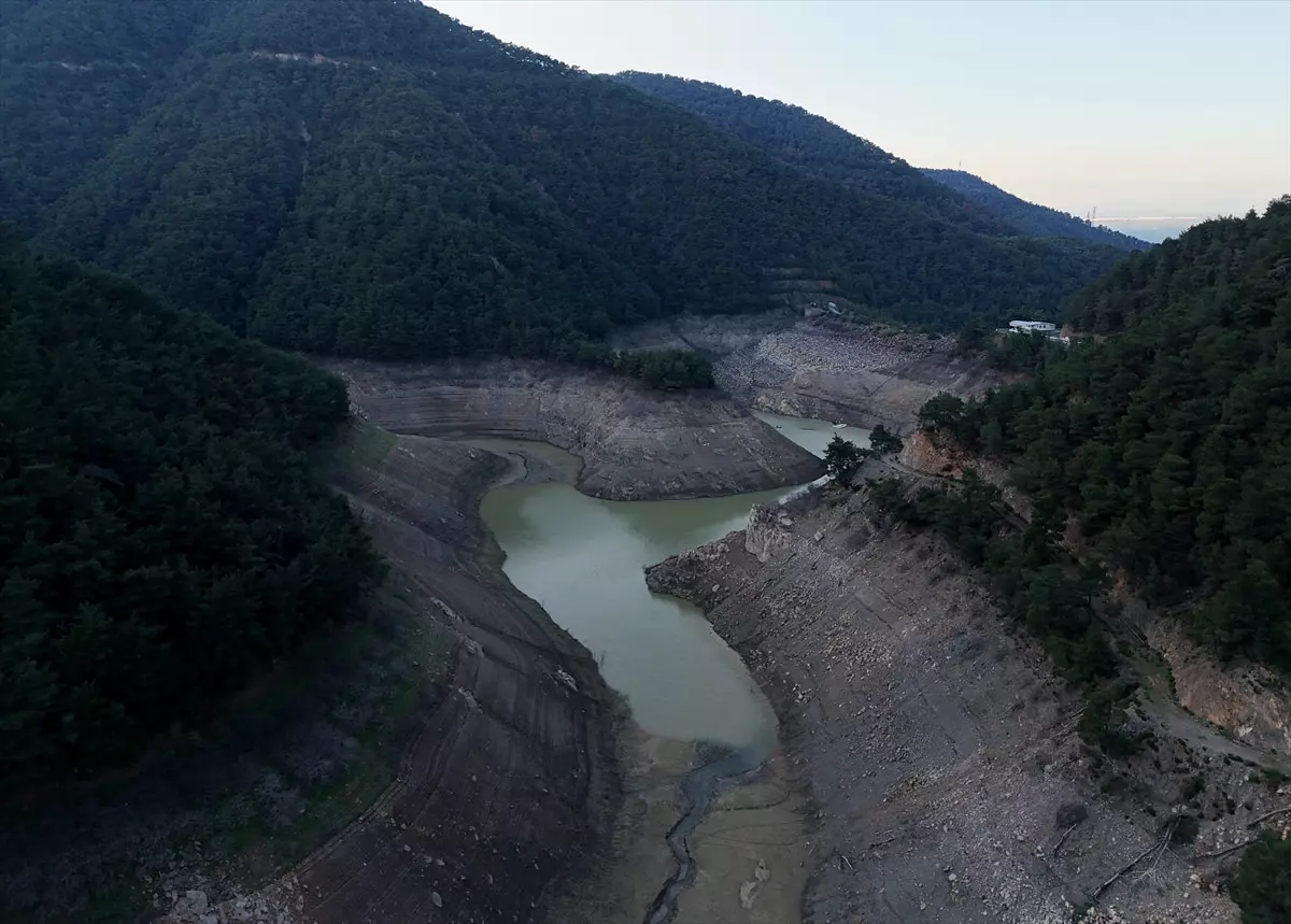 İzmir'de barajlar tarlaya döndü: Önümüzdeki yaz durum vahim!