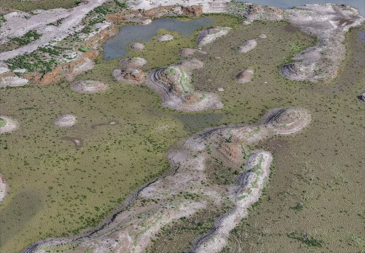 İzmir'de barajlar tarlaya döndü: Önümüzdeki yaz durum vahim!