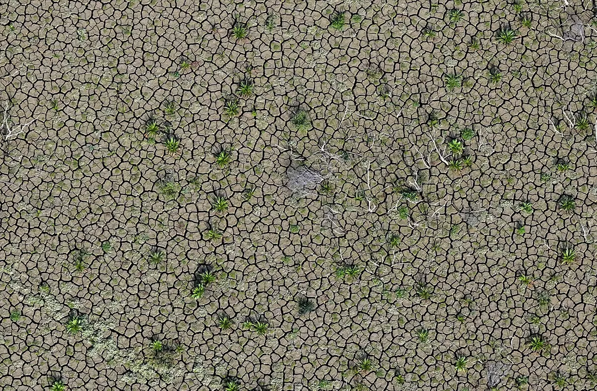İzmir'de barajlar tarlaya döndü: Önümüzdeki yaz durum vahim!