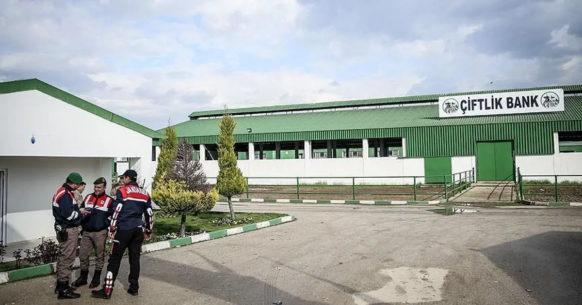 GİB, vergi yüzsüzleri listesini açıkladı: Kamuoyunun yakından tanıdığı, o isimler de kara listede!