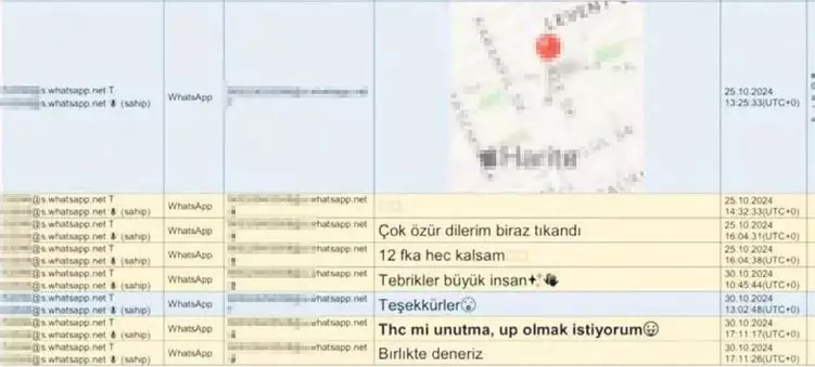 Ela Rümeysa Cebeci ile Timur Savcı'nın arasında geçen mesajlaşma gündem oldu: Up olmak istiyorum