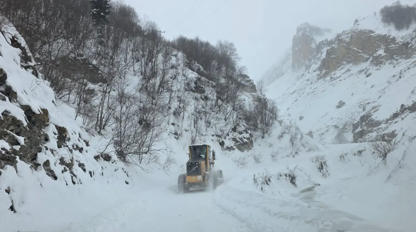Artvin'de çığ düştü: "Çobanlar altında kalmış olabilir" AFAD ekipleri harekete geçti!