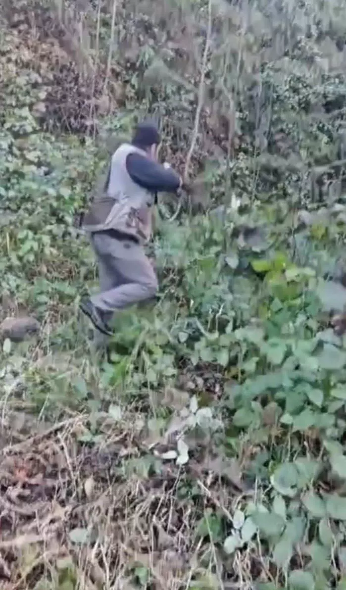 Avcı yakalamak istediği avı tarafından hastanelik edildi!