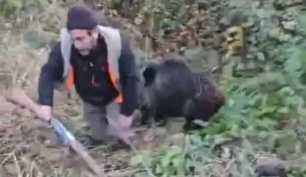 Avcı yakalamak istediği avı tarafından hastanelik edildi!