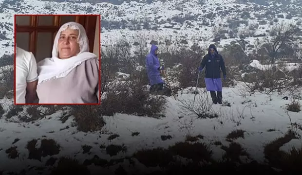 Diyarbakır'da kaybolan Nimet'ten 8 gündür haber alınamıyor!