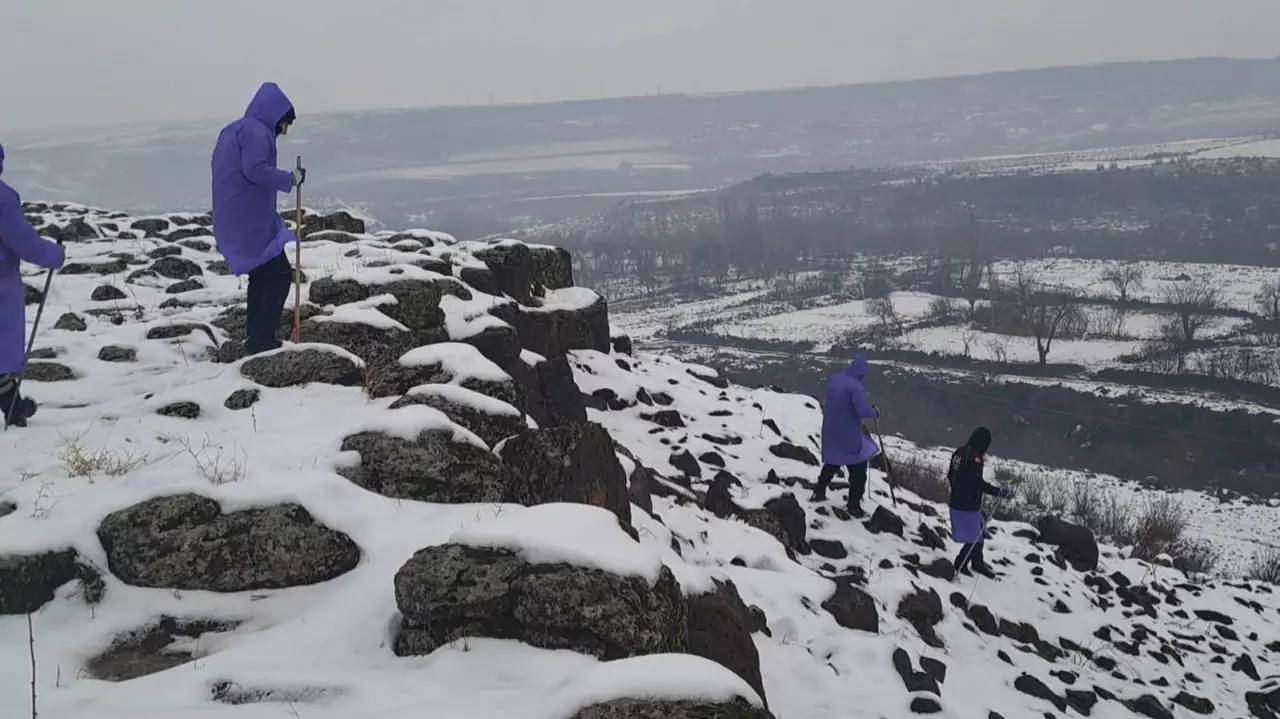 Diyarbakır'da kaybolan Nimet'ten 8 gündür haber alınamıyor!