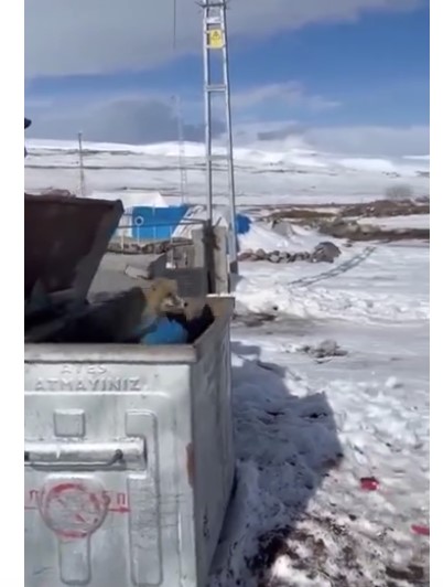 Yaşlı adam şaştı kaldı: Çöp kutusunun kapağını açınca bakın neyle karşılaştı?