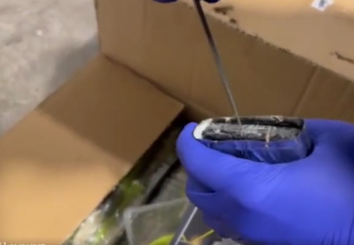 Zehir tacirlerinden şeytanı bile sollayacak görüntü: 4,6 milyar liralık uyuşturucuyu boya fırçalarına bakın nasıl gizlediler?