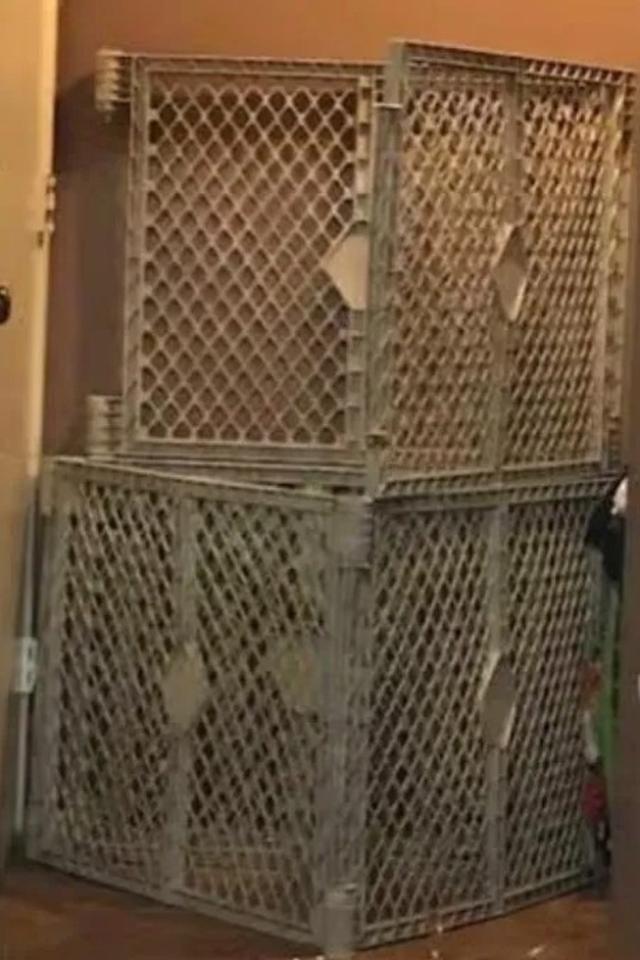 Dünya şaşkınlıkla izledi: Evlatlık çocuklarını bir hayvan gibi kafese kapattı, o anne bakın ne ceza aldı?