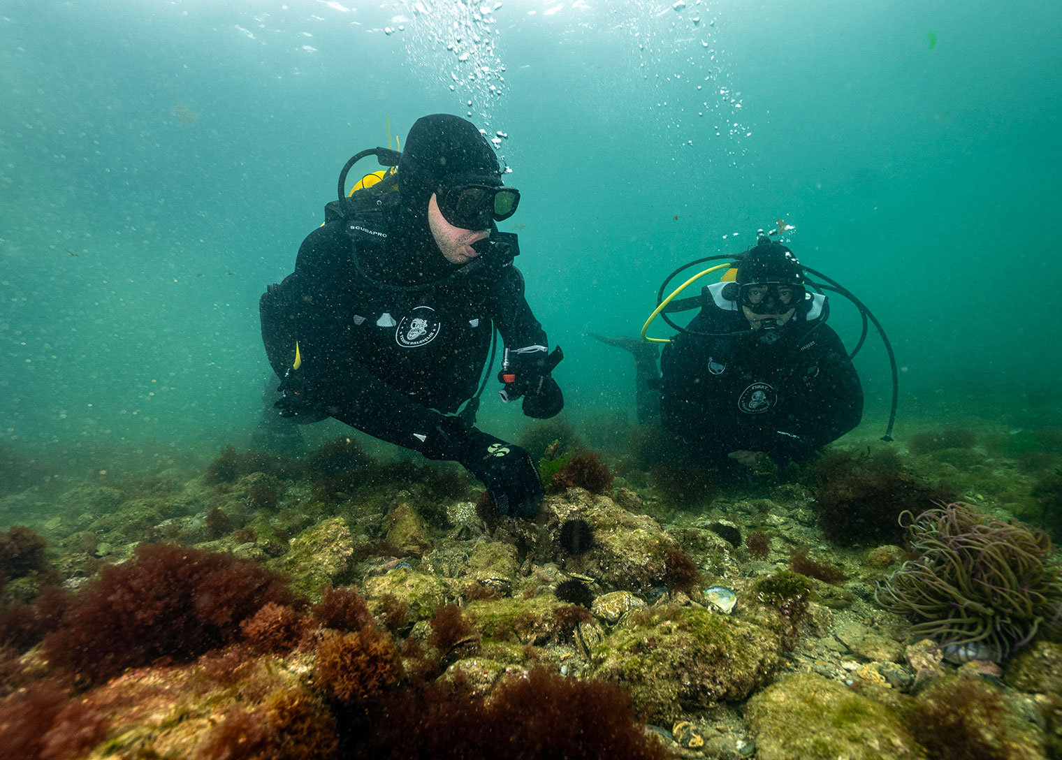Başkan Bingöl daldı keşfi yerinde gördü