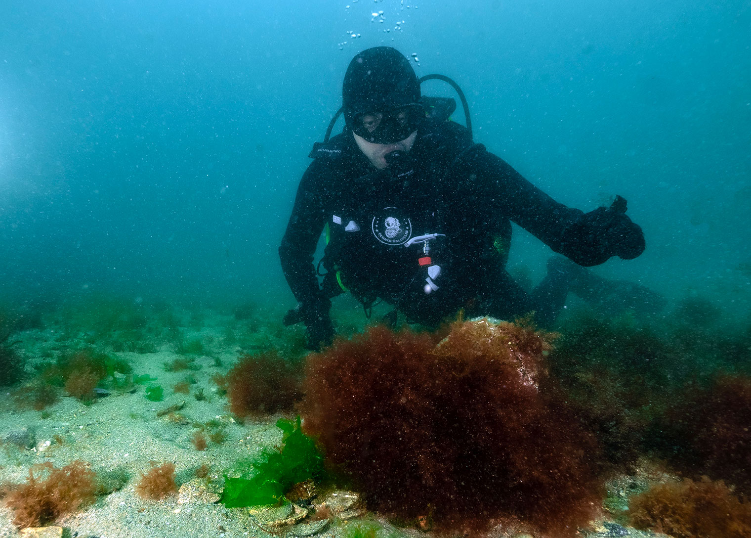 Başkan Bingöl daldı keşfi yerinde gördü